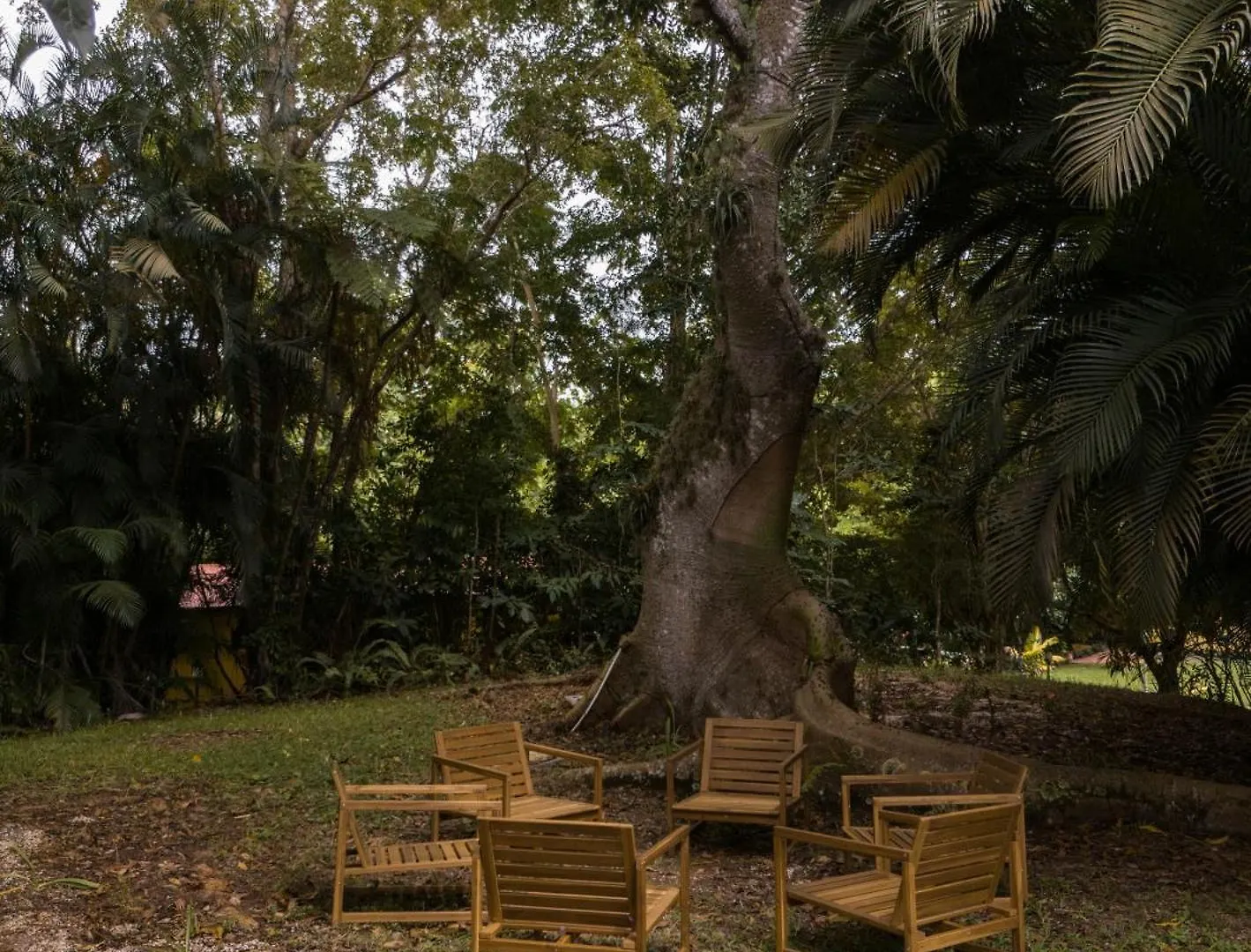 El Oasis Hotel Aguada